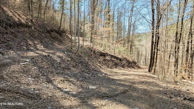 Carrs Creek Acreage