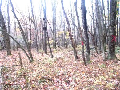 7 Emerald, Mount Storm, WV 26739 - photo 5