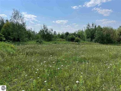 0 Esmond Rd unit 1890923, Hale, MI 48739 - photo 4