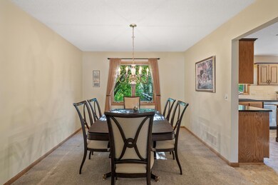 11308 Trillium Ln N, Champlin, MN 55316 - photo 7