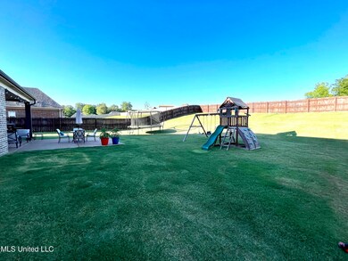 4 Backyard 3