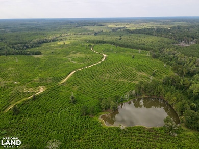 0 Neely Avera, Neely, MS 39461 - photo 7