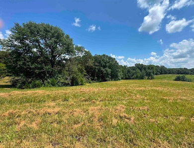 15ACRES Monk House Rd, Somerville, TN 38068 - photo 6