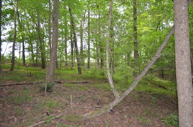 0 Dyson Dr unit TBD Dyson 2519207, Mebane, NC 27302 - photo 6