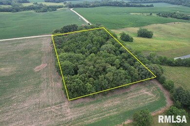 2395 Rolf Ln, Arenzville, IL 62611 - photo 4