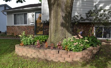 Front Yard 2