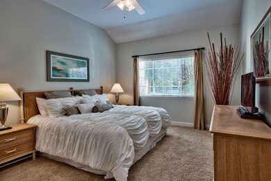 small_5251 Tivoli _29