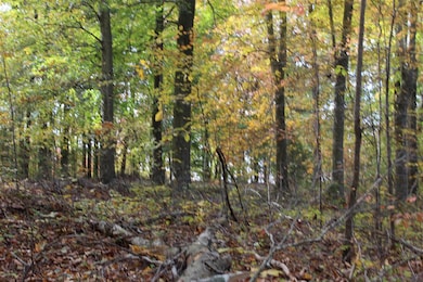 1 Gosser Ridge Spur, Russell Springs, KY 42624 - photo 4