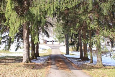 Cross a stream and drive through mature trees to e