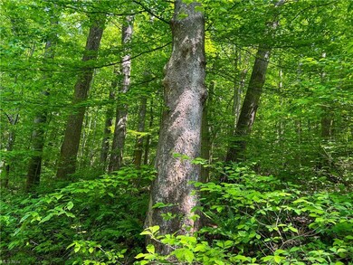 0 Stone Quarry Rd unit 4463440, Danville, OH 43014 - photo 4