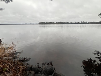 6381 E Big Lake Loop Rd, Three Lakes, WI 54562 - photo 4