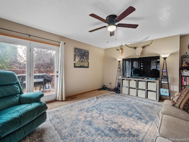 2756 Snowy Range Rd, Laramie, WY 82070 - photo 6