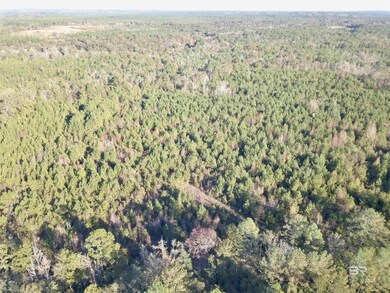 72510 State Highway 59, Little River, AL 36550 - photo 4