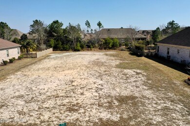 1133 Leesburg Dr, Leland, NC 28451 - photo 2