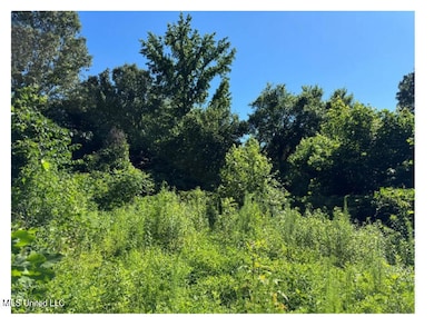 3605 Byhalia photo 2