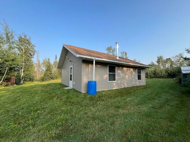 79900 Tarpaper Aly, Brule, WI 54820 - photo 5