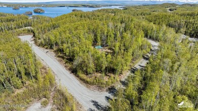02-4658sburmarddrone_ZHM_002