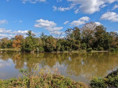 14390 Bayou Terrace Dr, St. Amant, LA 70774 - photo 6