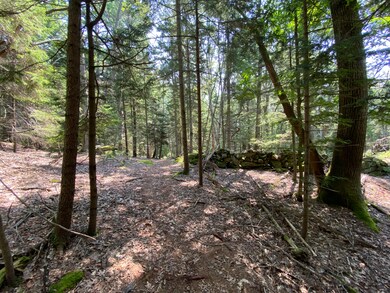 lot 13 Upper Spruce Shore Rd, Harpswell, ME 04079 - photo 6