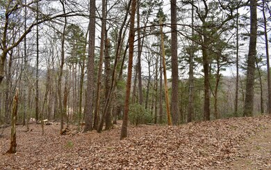 0 Etowah Dr unit 305267, Ellijay, GA 30540 - photo 3