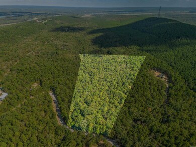 000 Dwight Little Rd, Roland, AR 72135 - photo 4