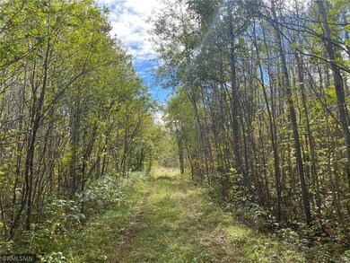 Entrance path