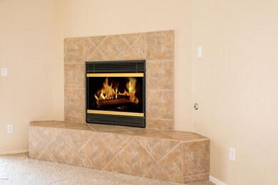 Family Room Fireplace