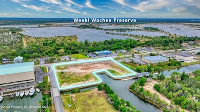 4055 Shoal Line Blvd, Hernando Beach, FL 34607 - photo 3