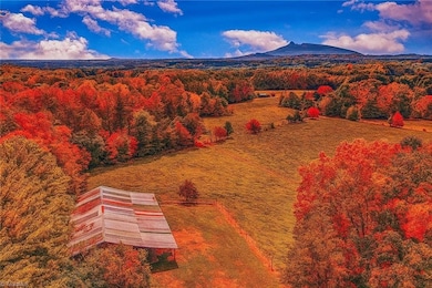 3607 N Carolina 268, Pilot Mountain, NC 27041 - photo 4