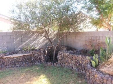 Tree in backyard