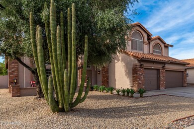 03 - Cholla