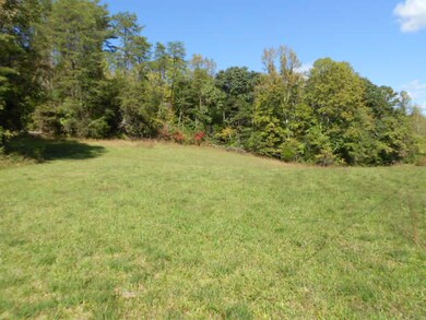 0 Lea Lakes unit 866370, Blaine, TN 37709 - photo 4