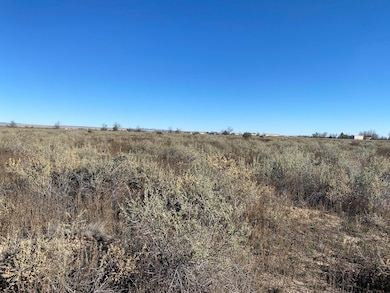 0 Valle Verde Ave, McIntosh, NM 87035 - photo 3