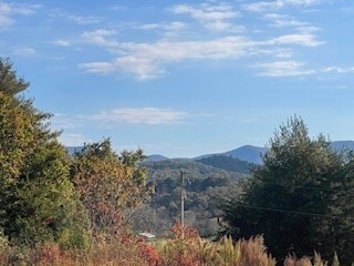 Lot 6 Jay Bird Trail, Franklin, NC 28734 - photo 7