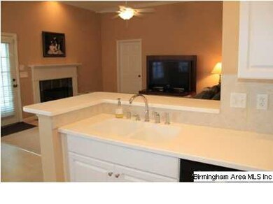Corian Sink and Countertops