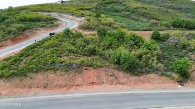 dji_fly_20250528_160228_140_174847119673
