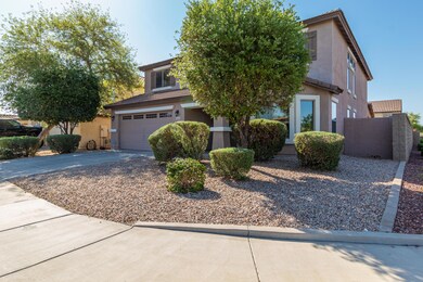 0001-Saguaro-1