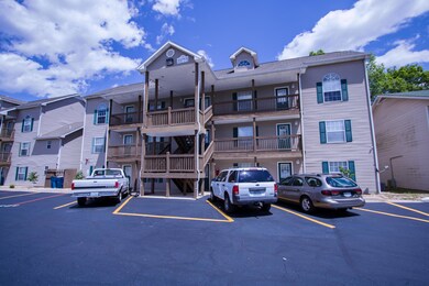 680 Fall Creek Dr unit 10, Branson, MO 65616 - photo 3