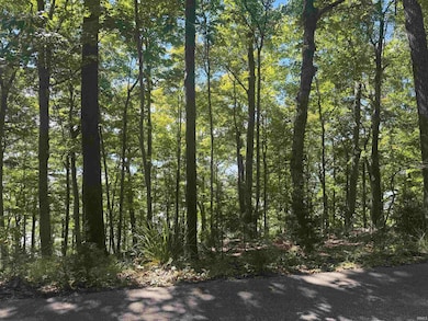 7453 E Rush Ridge Rd, Bloomington, IN 47401 - photo 6