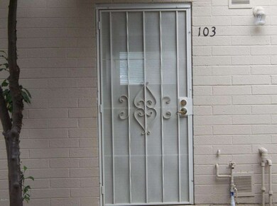 FRONT SECURITY DOOR