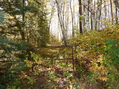 ON Foreman Rd unit 2.68 Acres, Deerbrook, WI 54424 - photo 4