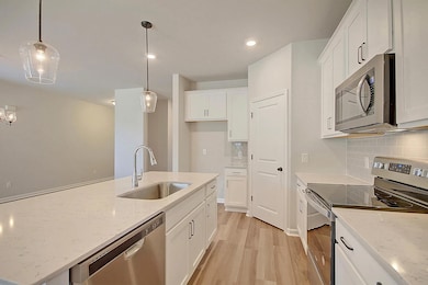 Greenwood sample kitch 2 pic