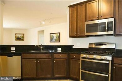 24636 Woolly Mammoth Terrace unit 207, Aldie, VA 20105 - photo 5