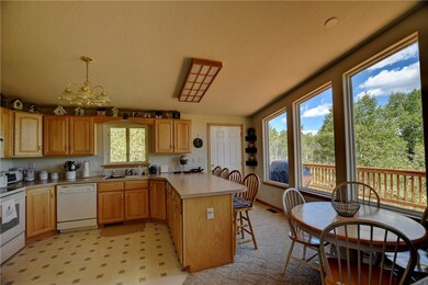 293 Squaw Trail, Como, CO 80432 - photo 4