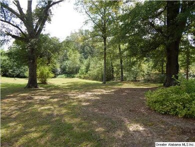 Large side yard