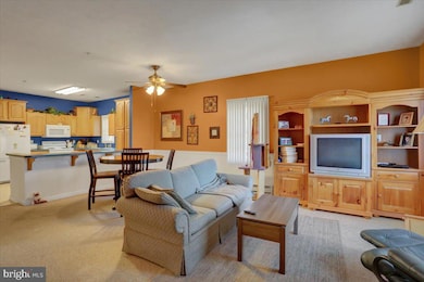 218 Sunbrook Ln unit 143, Hagerstown, MD 21742 - photo 7