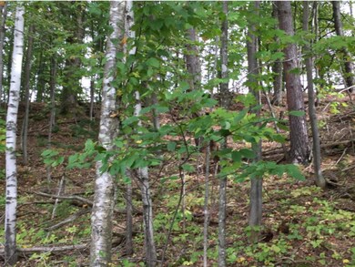 SF #10 Alpine Ln, Burke, VT 05832 - photo 5