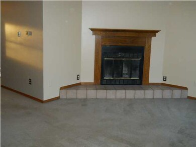 Living Room Fireplace