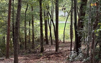 LT109 Fawn Way, Mineral Bluff, GA 30559 - photo 5