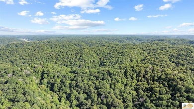 0 Crocus Creek Rd, Burkesville, KY 42717 - photo 3